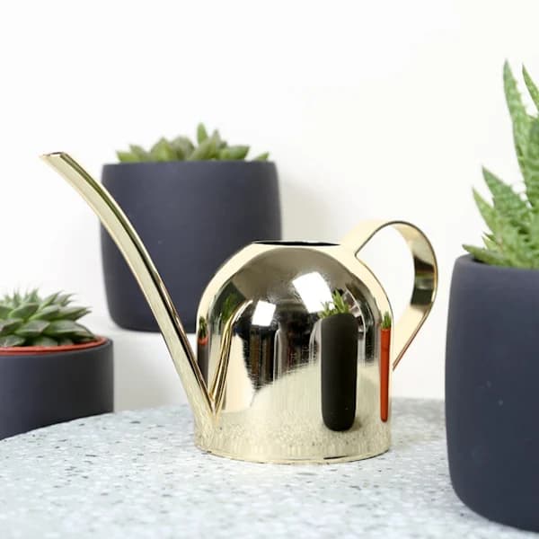 500 ml Vandkande i rustfrit stål med lang hals til indendørs og udendørs planter Guld