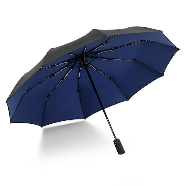 Double-layer 10-rib Automatic Umbrella Sun Protection Foldable Windproof Fully Automatic Umbrella Blue blue