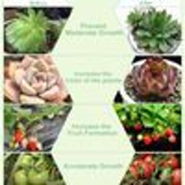 Plantelys, 60 LED fullspektrum plantelys med KLB