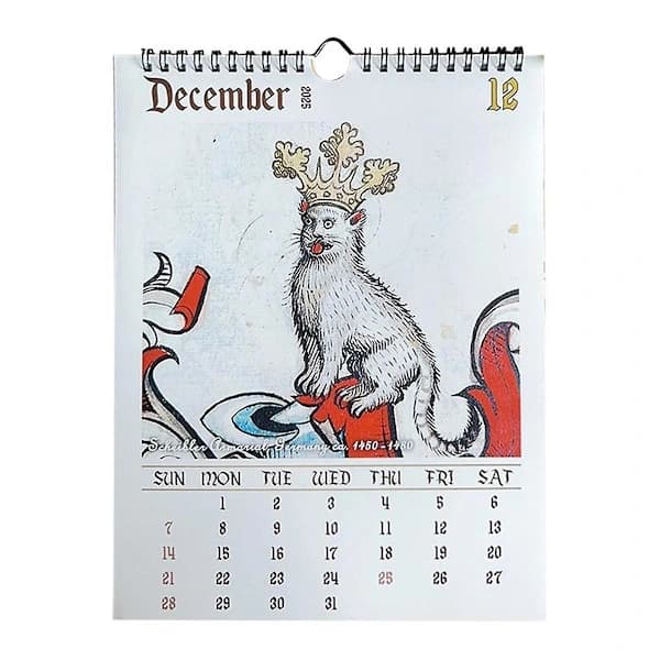 Middelalderlig Kattekalender 2025 Mærkelige Middelalderlige Katte Vægkalender 2025 Grimme Middelalderlige Katte Kalender 12