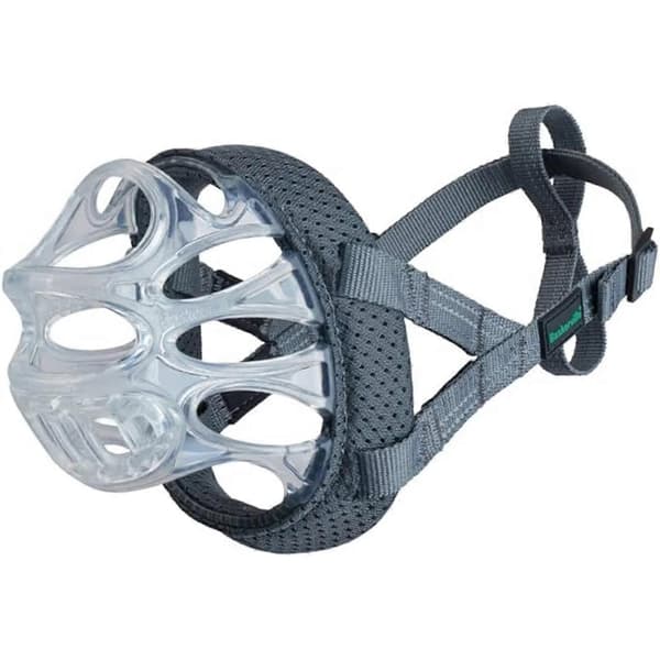 Invisa Korg Hundemundkurv [DB] Transparent/Grøn 2