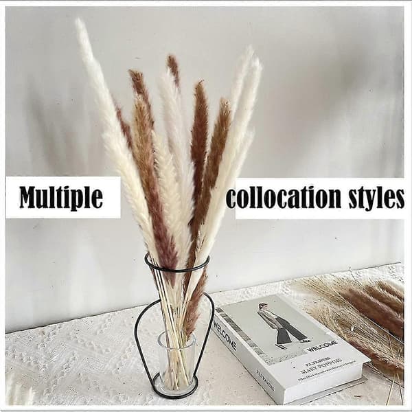 Pampas Grass 75 pcs 44 cm, Fluffy Stem Bouquet for Home Decor Wedding Boho Decor (4 Different Nat