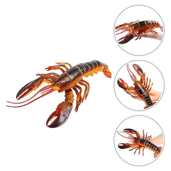Simulation Model Lobster Lobster Figure Lobster Toy Simulation Animal Educational Model