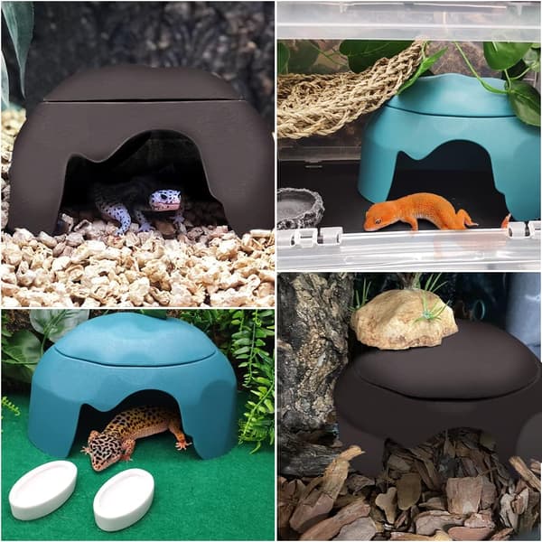 Reptile Hide with Humidity Container for Gecko, Cave Design, Lizards