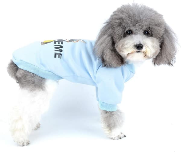 Tøj til små hunde Vinterfrakke Pullover Sweatshirt Bomuldsplade