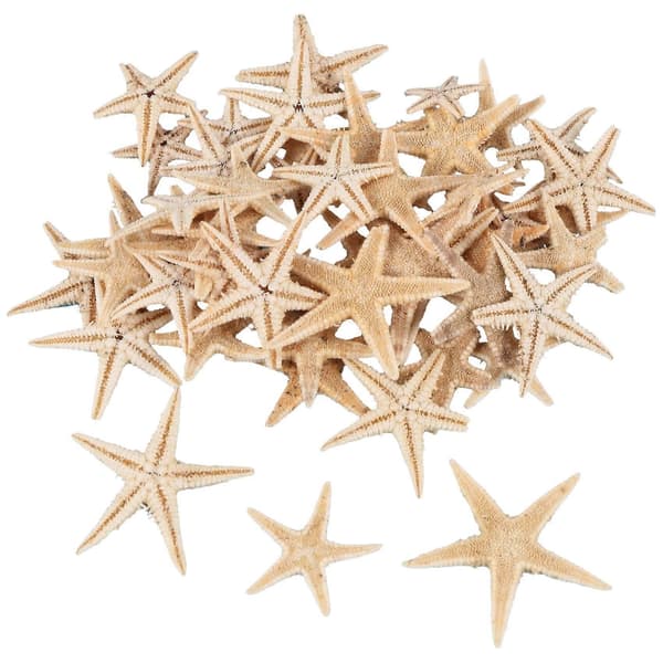 Small Starfish Seashells Beach Craft 1 cm-3 cm 90 pcs