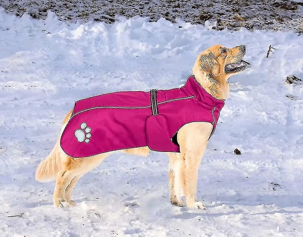 Vattentät hundkappa. Hundvinterkappa med vadderat fleecefoder. Utomhushund