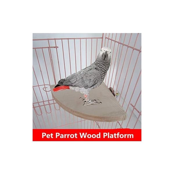 Wooden Fan-Shaped Perch Platform for Birds, Parrots, Hamsters, and Squirrels - Cage Accessories