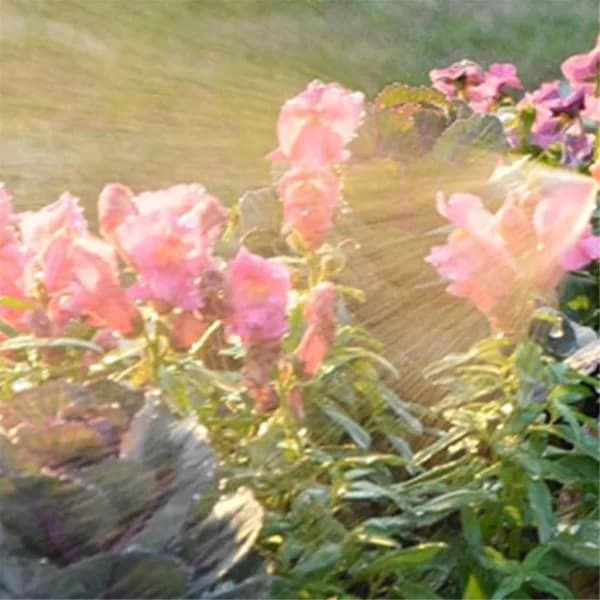 Electric Spray Bottle, Rechargeable Battery Powered Spray, Automatic Plant Spray, Pump Spray, P