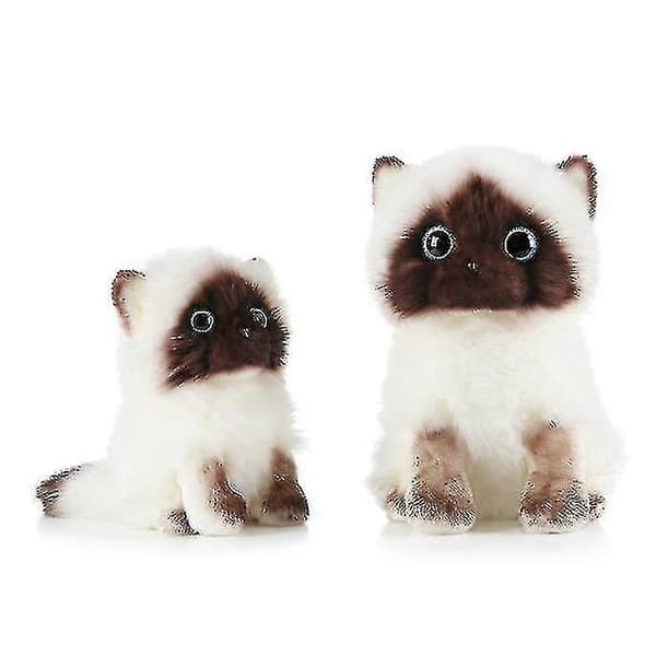 Söpöt Ragdoll-kissapehmolelut 20cm 20cm