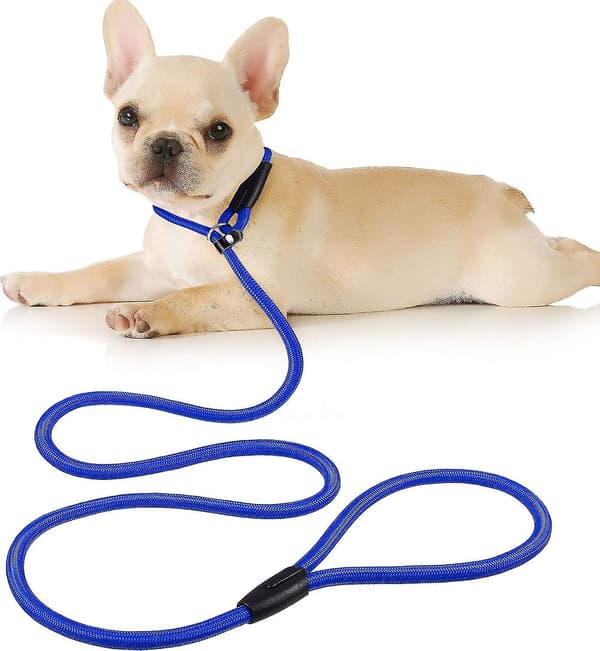 Nylon Dog Leash for Walking Training Adjustable Buckle Pet Leash Rope Collar Non-slip Belt (Blue M)