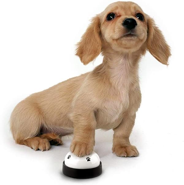 Koirien koulutuskellot, 2 kpl pentu lemmikkieläinten pottaharjoittelukellot, D