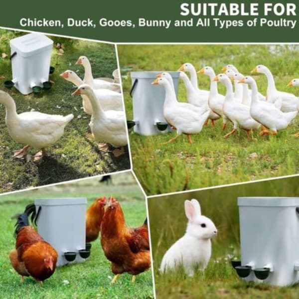 12 Cups Chicken Waterer - Self-Filling Gravity System for Poultry, Drinking System for Chicken Coop Accessories
