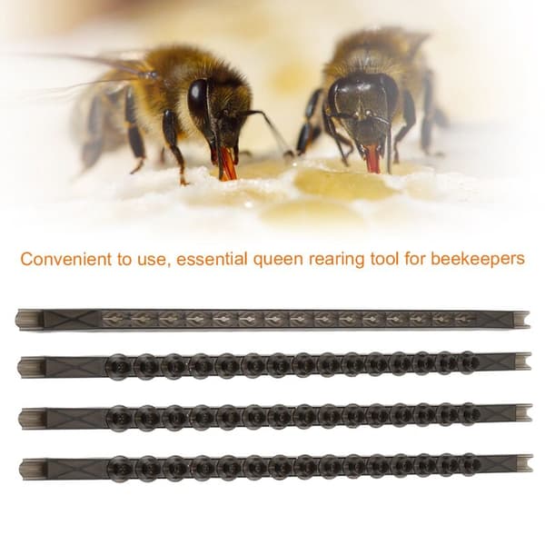 4 Pcs Cell Bar Strips with 50 Pcs Cell Cups Beekeeping Queen Rearing Tool Accessories
