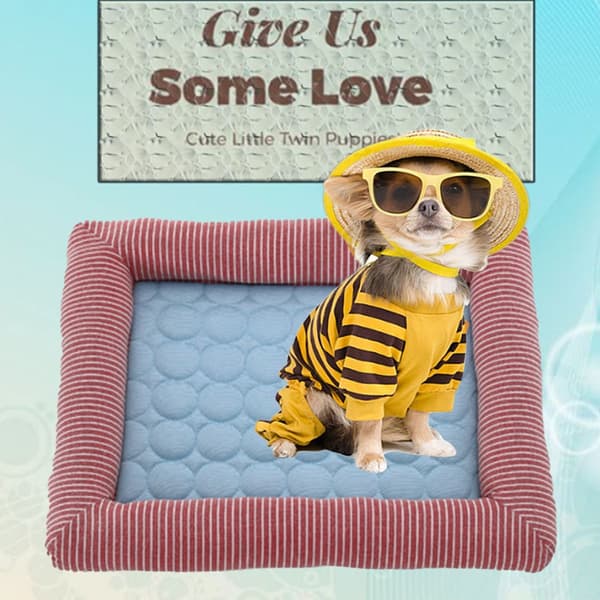 Summer Cooling Pad for Pets, Self-Cooling, No Electricity, S(17x13x1.2) KLB