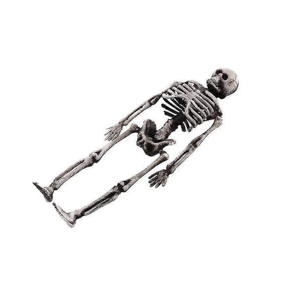2025 Simulated Skeleton Prop Halloween Skeleton Small Human Body Bone Model