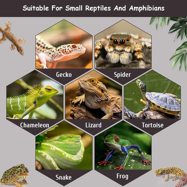 Reptile Hide with Humidity Container for Gecko, Cave Design, Lizards