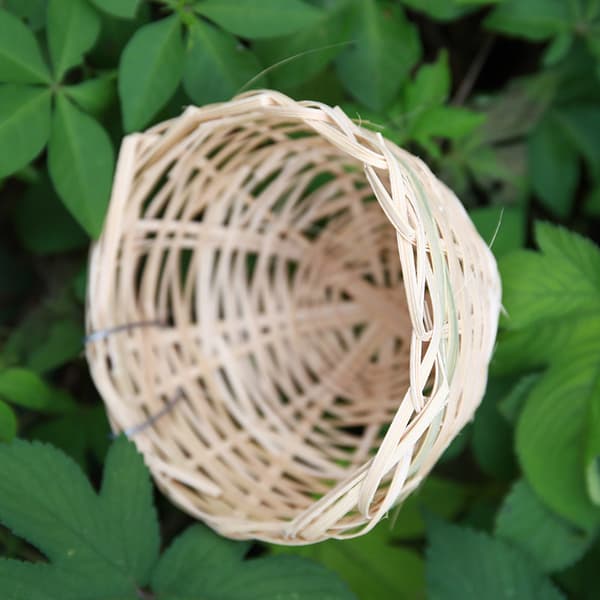 Eksotisk Bambusfuglehus 10*6 cm