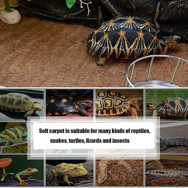 Krybdyrmåtte Kokosfiber Skildpaddemåtte Måtte til Kæledyr Terrariumforing Krybdyrtilbehør til (80*40CM)