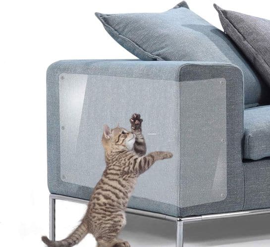 Galaxer Cat Scratch Protector 2 in 1 Flexible Transparent Scratch Guard