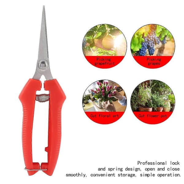 Fruit Picking Shears Garden Cutter Flower Scissors Hand Pruner Equipment 7\"