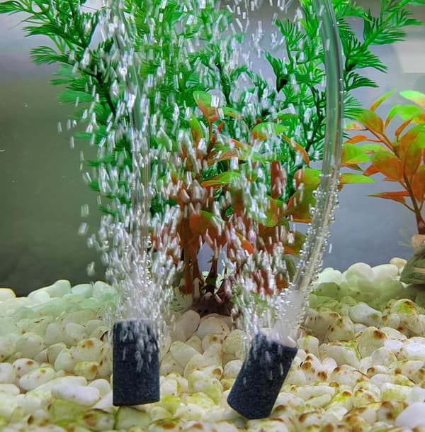 Akvarieluftsten, boblesten, til akvarier, 12-pak, grå, akvarietilbehør