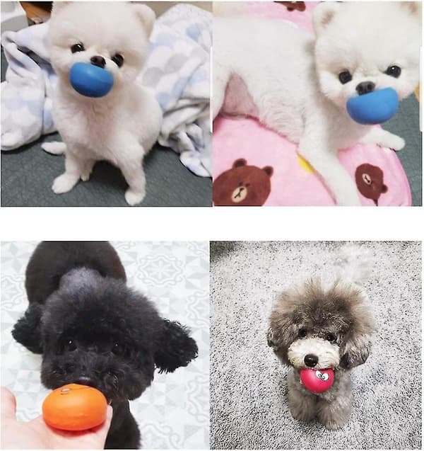 Grinende Hund Pibelegetøj Bløde Latex Pibebolde Til Hvalpe Små Mellemstore Kæledyr Hunde 6 Stk/sæt [DB]