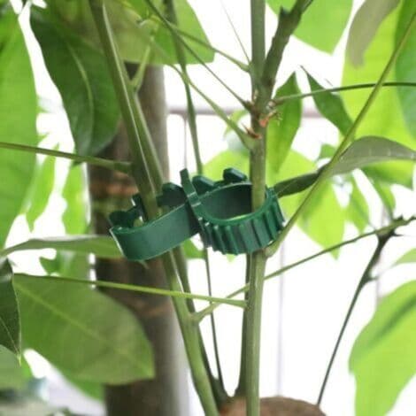 10 stk. 24 cm robuste bløde gummibånd til planter, justerbare sammenkoblingsbare havebånd til buske, roser og træer