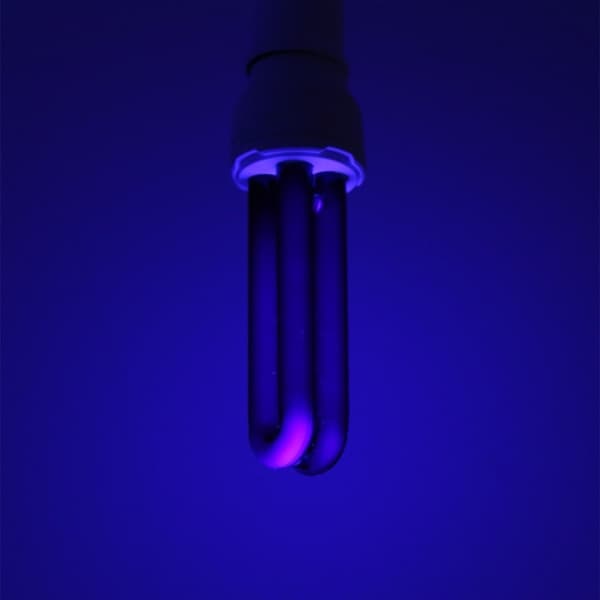220V 30W E27 Ultraviolet Sortlys Pære UV Myggedræber Pære