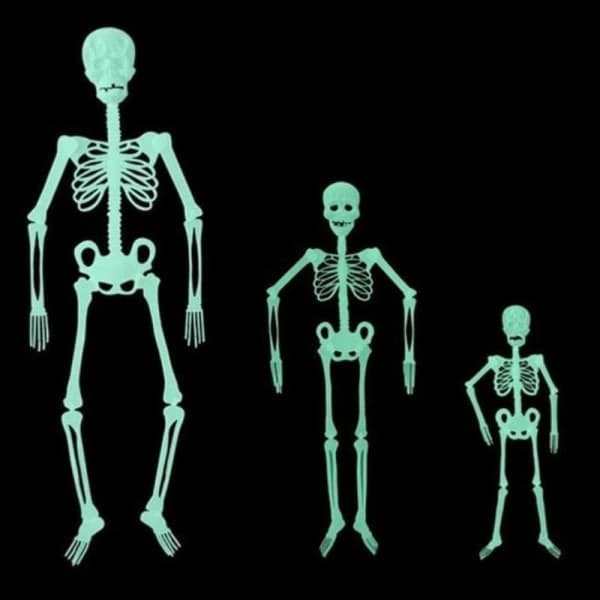 32/90/150 cm Bendable Human Skeleton Halloween Decoration Party A 150 cm