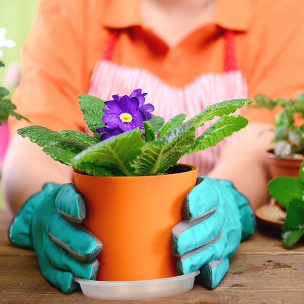 Dewenwils 10 stk. Underskåler for Blomsterpotter, Flate Underskåler DXGHC