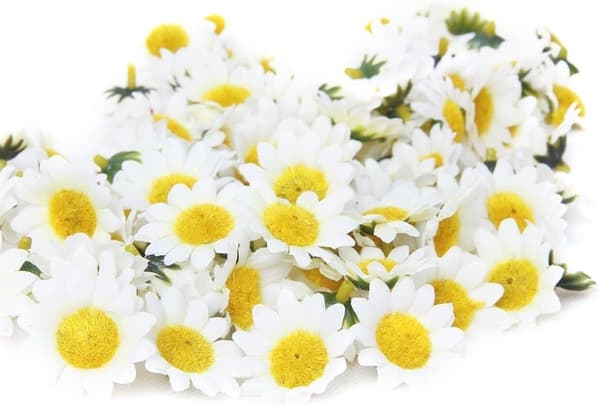 Kunstige Gerbera-Margeritter til DIY Bryllupsfest - 100 stk.