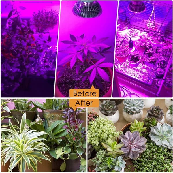 Derlights 100W LED plantelys E27 plantelys fullspektrum, plantelys 150 KLB
