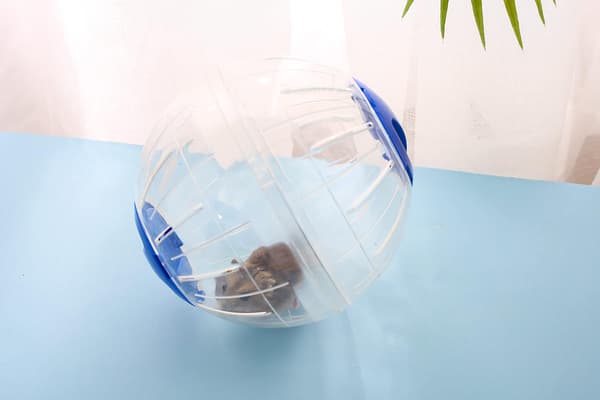 Hamster Exercise Ball, 15 cm Silent Hamster Mini Running Activity