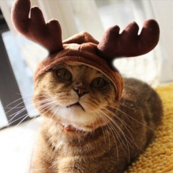 Julemandsdyrkostume Træhat Kat Hundehue Kæledyrstøj DXGHC