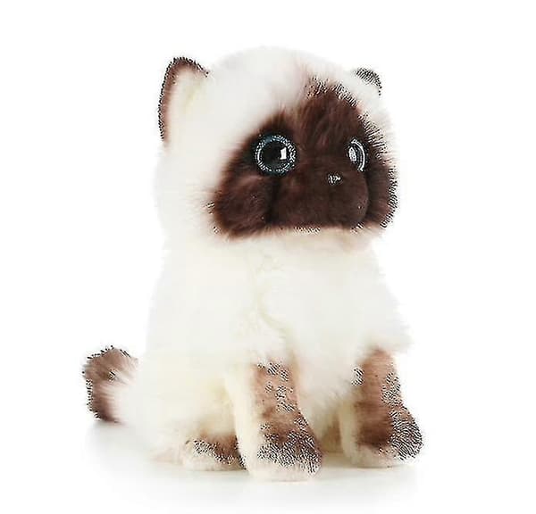 Sød Ragdoll Kat Plys Bamse Legetøj 26cm 26cm
