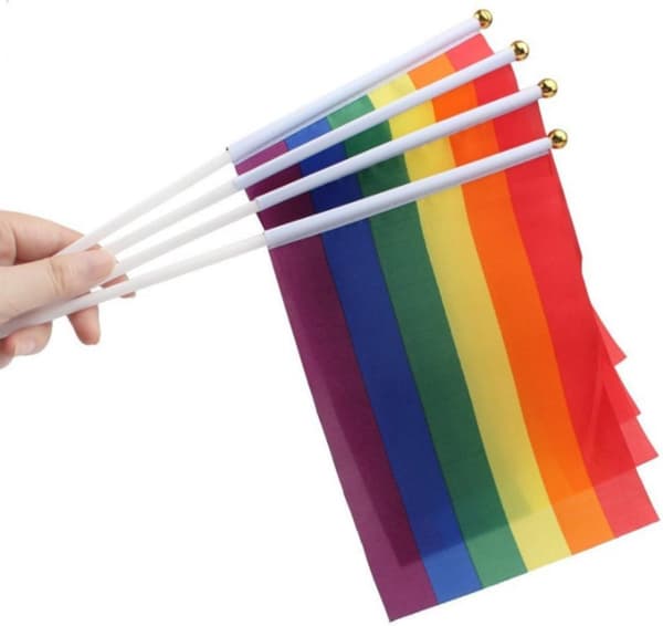 Rainbow Flag | Pride Flag | LGBTQ | Rainbow Decoration | 14 x 21 cm | Able & Borret