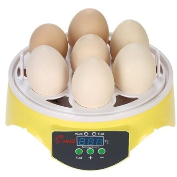 Automatic 7-Egg Incubator with Digital Temperature Control - for Poultry Breeding - Chicken Duck Quail,