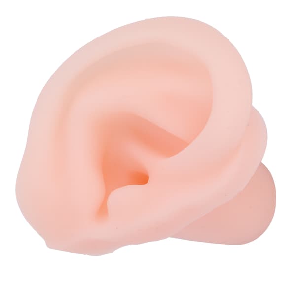 Simulated Soft Silicone Ear Model, Flexible Right Ear Model for Pharmacies and Hospital Exhibition