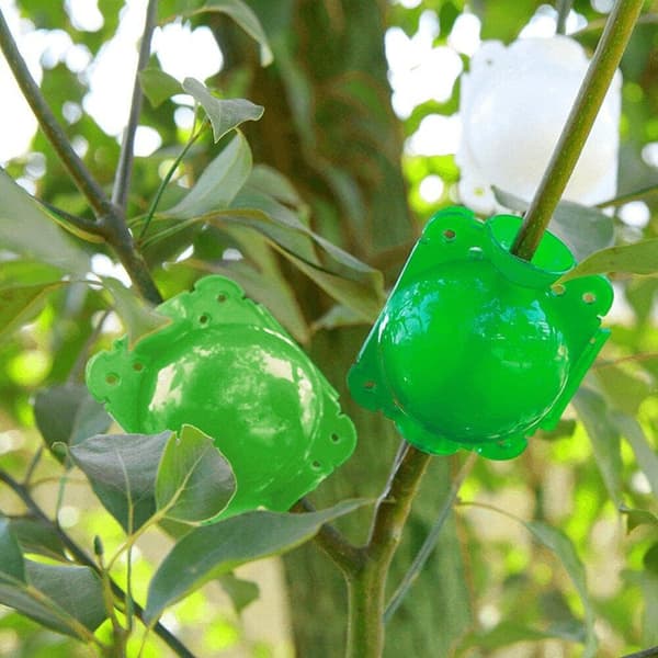 10 st Plant Rooting Device Ball Plant Grafting Cutting Rooting De