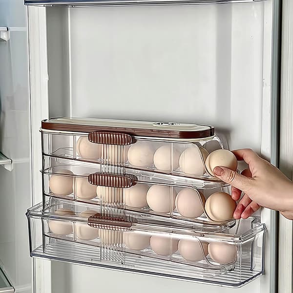 Portable Egg Holder for Refrigerator, Egg Container with Automatic Roll, 3 Tiers (1 Piece)
