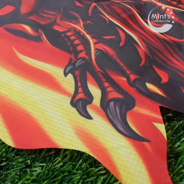 Dragon Kite for Kids and Adults, Red
