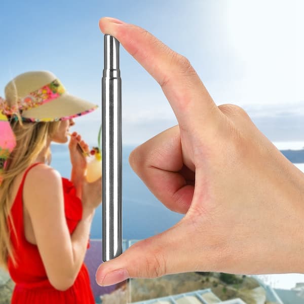 Foldable Reusable Stainless Steel Straw Kit (Red Aluminum Case Straw + Brush Carabiner)
