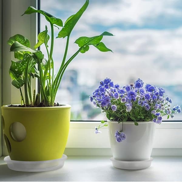Dewenwils 10 stk. Underskåler for Blomsterpotter, Flate Underskåler DXGHC