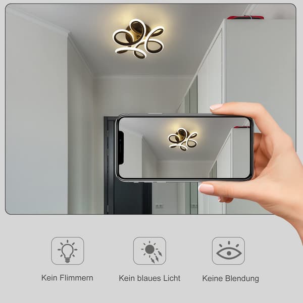 Ceiling lamp LED ceiling light black small hallway lamp 30W kitchen lamp modern warm white bedroom lamp 3000K geometry design lamp