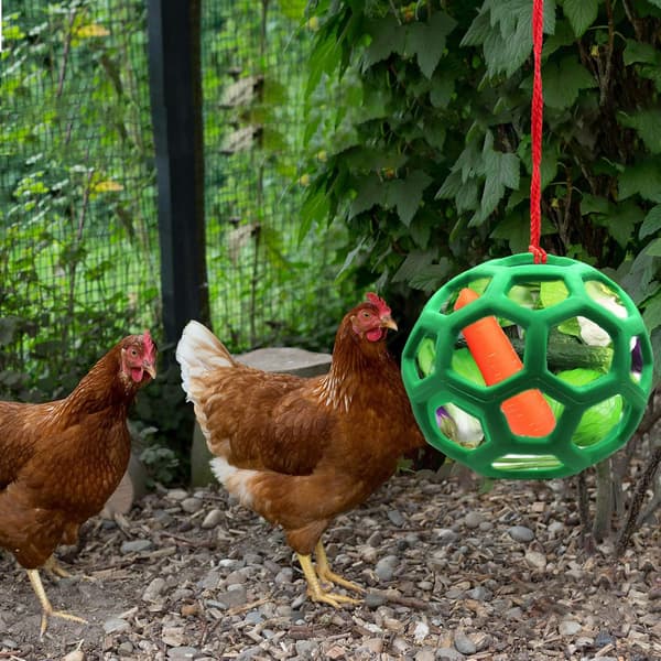 Two Hanging Fruit and Vegetable Holders for Chickens, and Cabbage Feeder.