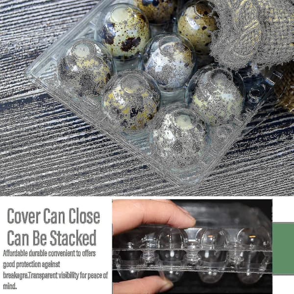 100 Pieces 12-Grid Quail Egg Carton Reusable Quail Egg Box Egg Storage Transparent Fridge Large Box Mini Egg Dispenser with Lid for Refrigerator