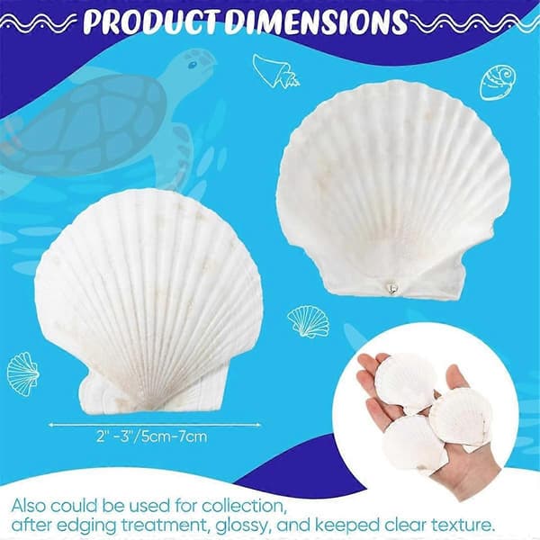 100 Pcs Seashells for Crafts Natural Large Scallop Shells White Oyster Shells Bulk for Decorating DIY Home Beach