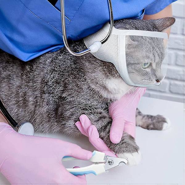 Pet Muzzle Anti-bite Adjustable Breathable Anti-scratch Small Pet Transparent Grooming Muzzle Cat Su -Yx S S