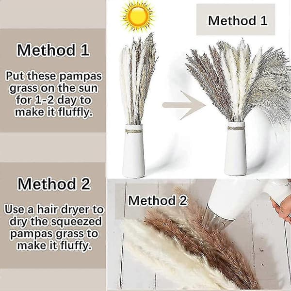 Dried Pampas Grass, Pampas Pampas, Reed Grass Reed, Dried Bouquet